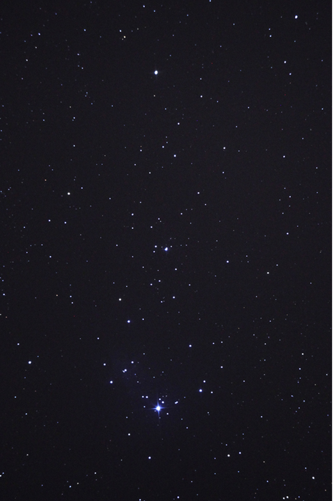 The Christmas Tree Cluster, NGC 2264
NGC 2264 in Monoceros the Unicorn, 130mm F/5 reflector, 30 seconds @ ISO 1600. 
