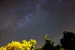 Milky_Way_Cygnus_Driftwood_Astronomy_Night.jpg